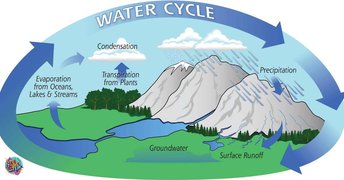 The Role of Precipitation in River Expansion