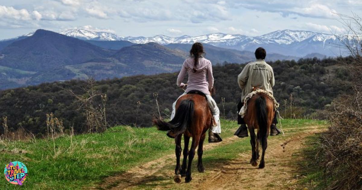 How Far Can You Travel On Horseback In A Day