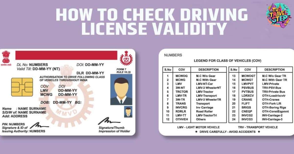 Road Trips and Driver's License Validity