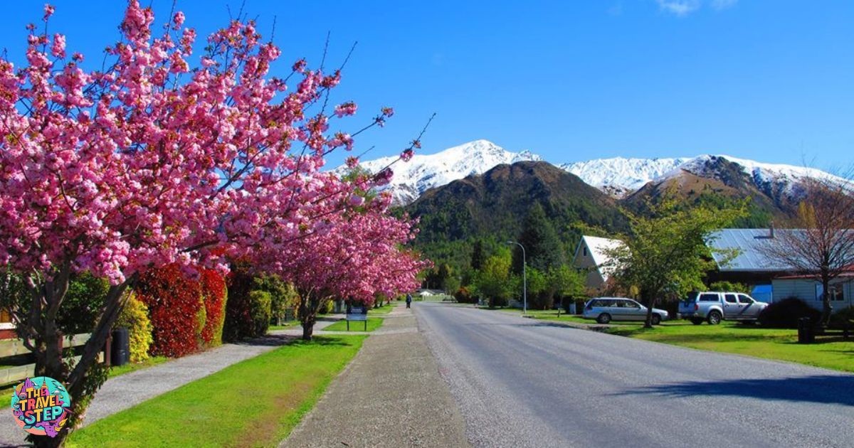 Spring in New Zealand