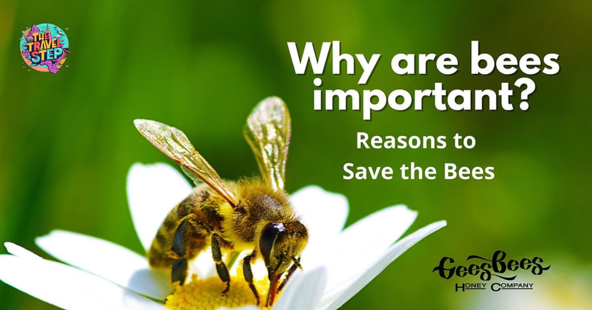 The Importance of Bee Flight Efficiency