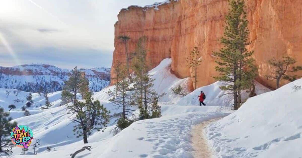 Winter Hiking Trails