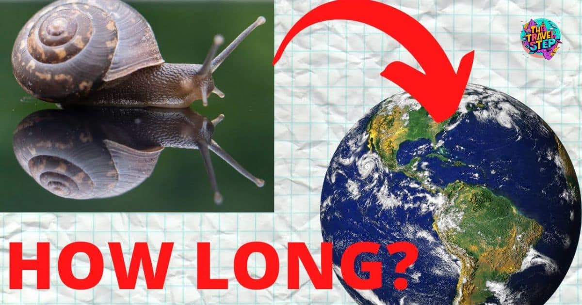 How Long Would It Take For A Snail To Travel The World?