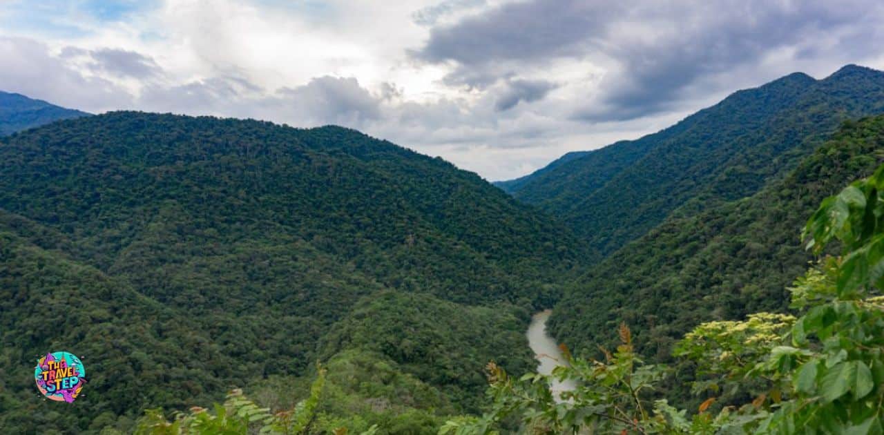 Jungle Adventure: Colombia’s Samana Watershed